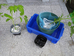 Resize of IMGP0055_thumb.jpg